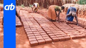 Recycled Bricks in Africa: Profits from Carbon Credits