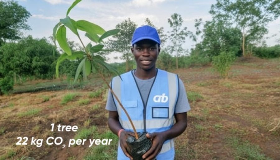 Hilde watty, crb carbon coin Sam Warburton carbon credits crypto crb