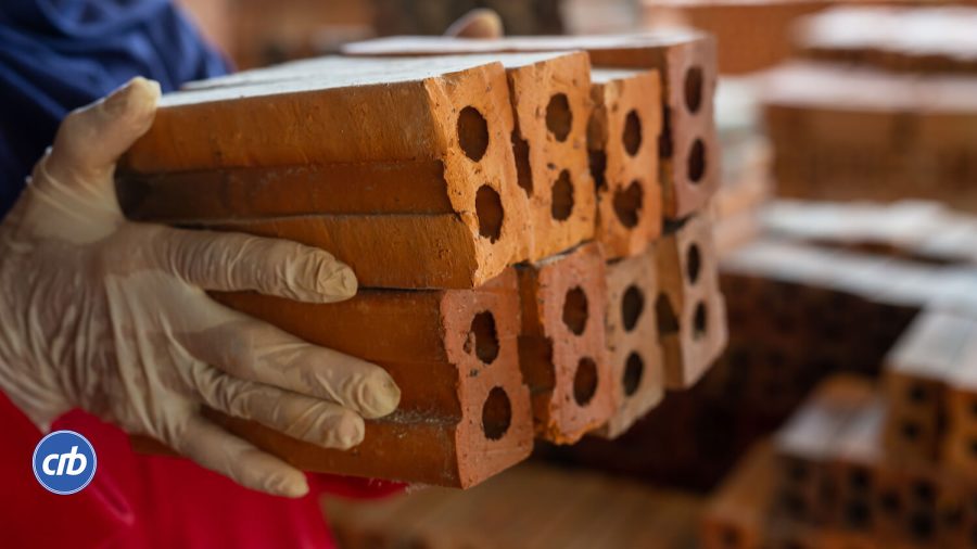 crbcoin Hilde watty werner van bakel carbon projecten carbon credits baking bricks Senegal. png
